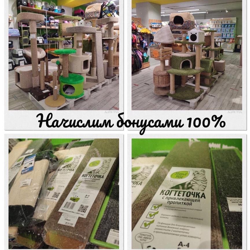 Быть в порядке коготочкам, если дома когтеточка. Быть в порядке коготочкам, если дома когтеточка.
