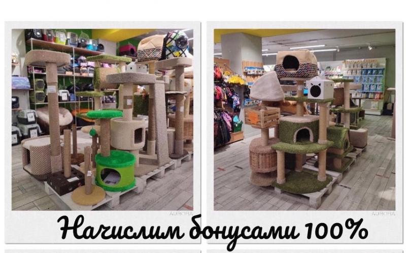 Быть в порядке коготочкам, если дома когтеточка.