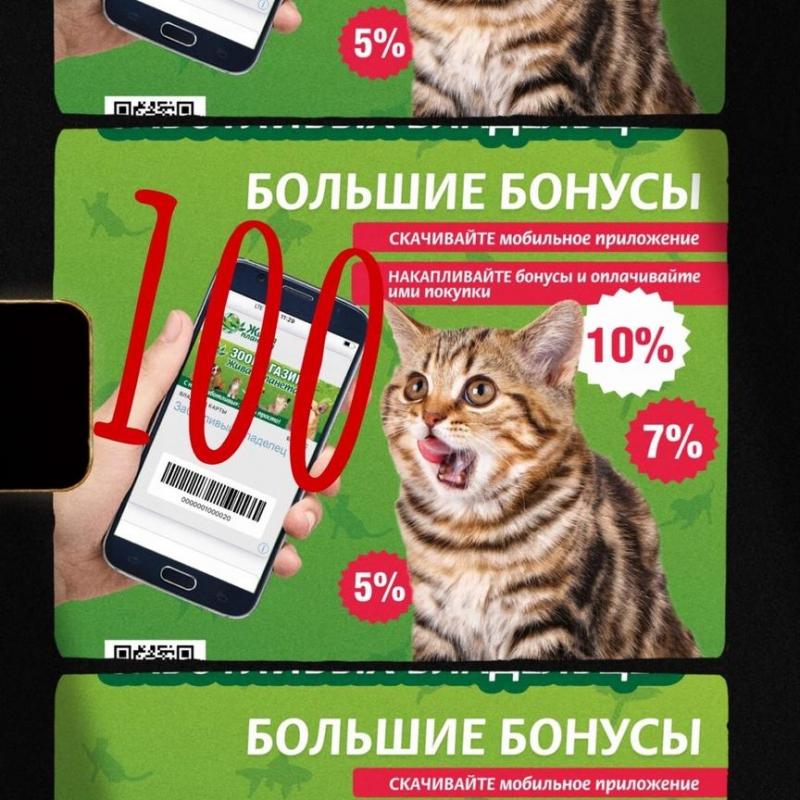 Сюрпризы октября