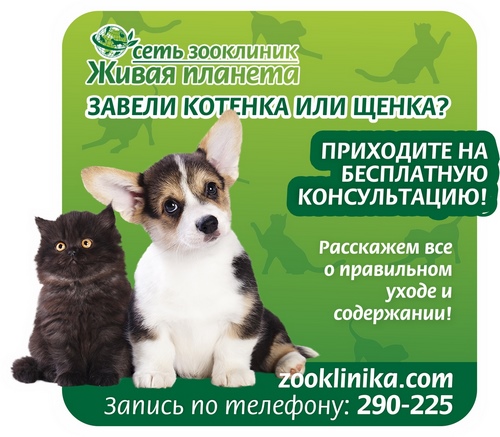 Бесплатная консультация молодых животных (до года) 
